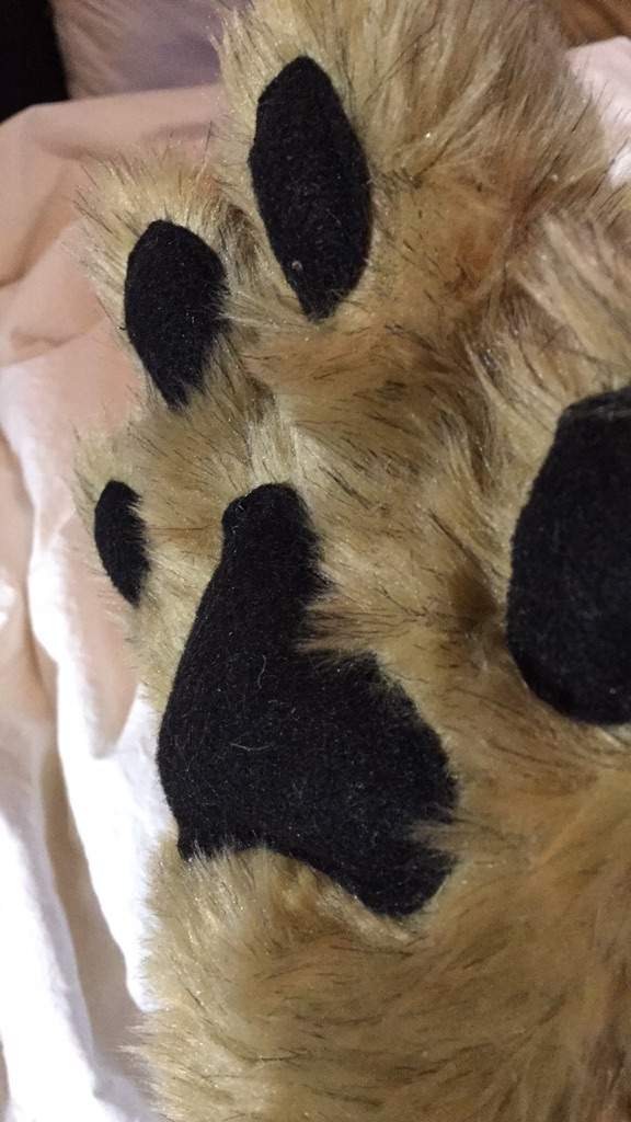 furry paws template