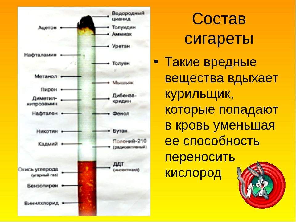 Какие вещества обычно. Строение сигареты составляющие сигареты. Содержание канцерогенов в сигаретах. Содержание вредных веществ в табаке. Какие вредные вещества содержатся в одной сигарете.