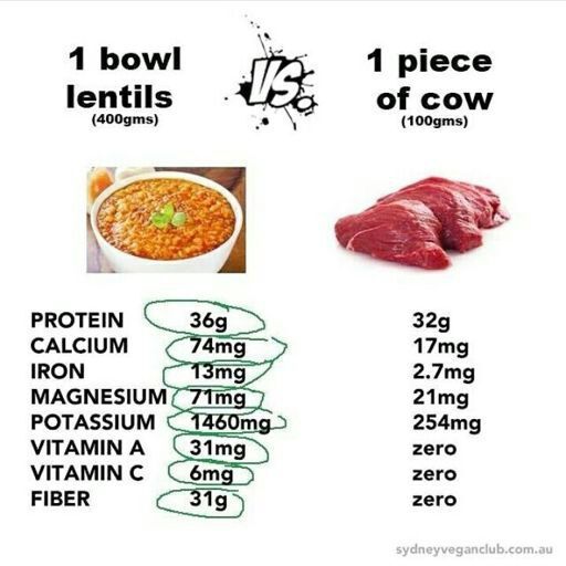 Meat Vs Plants Vegan Amino 7584
