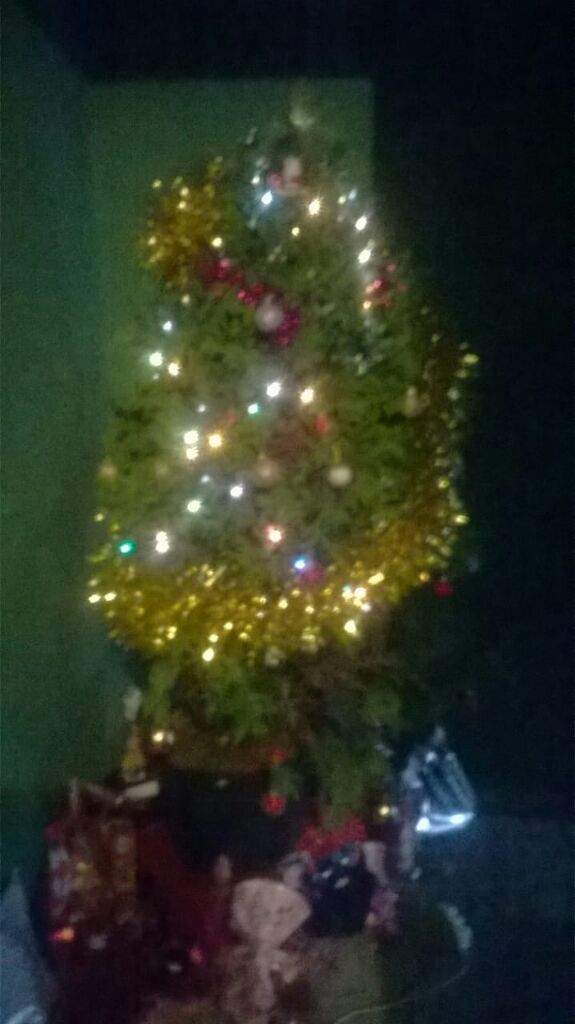 Boa noite, um bom Natal la la la la, namaste essa é nossa árvore na  montada. | LGBT+ 🌈 Amino