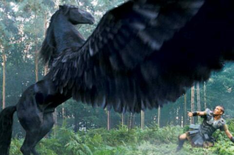 pegaso pelicula