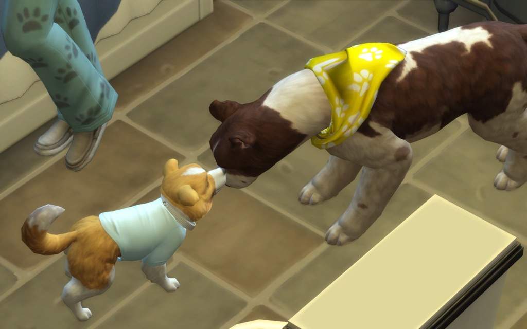 sims 4 cats and dogs recolors
