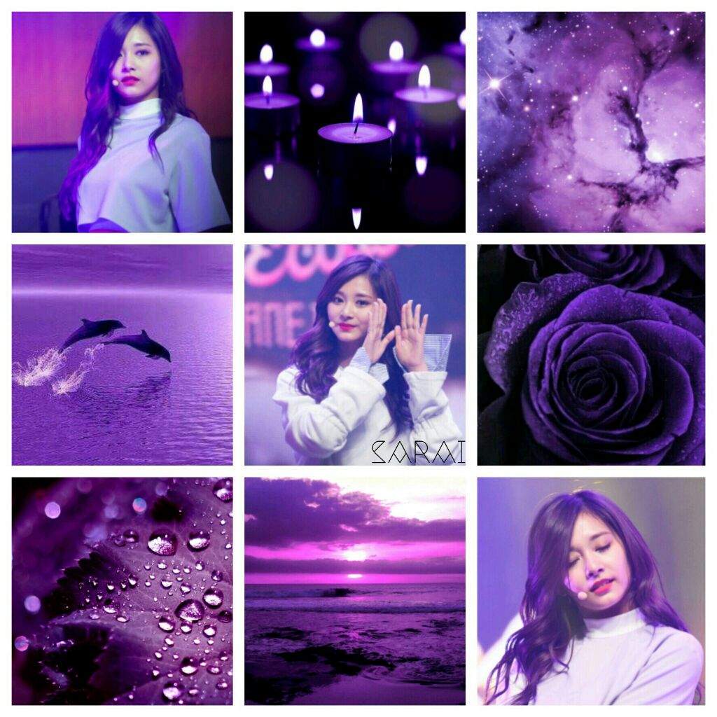 Tzuyu Moodboard | Twice (트와이스)ㅤ Amino