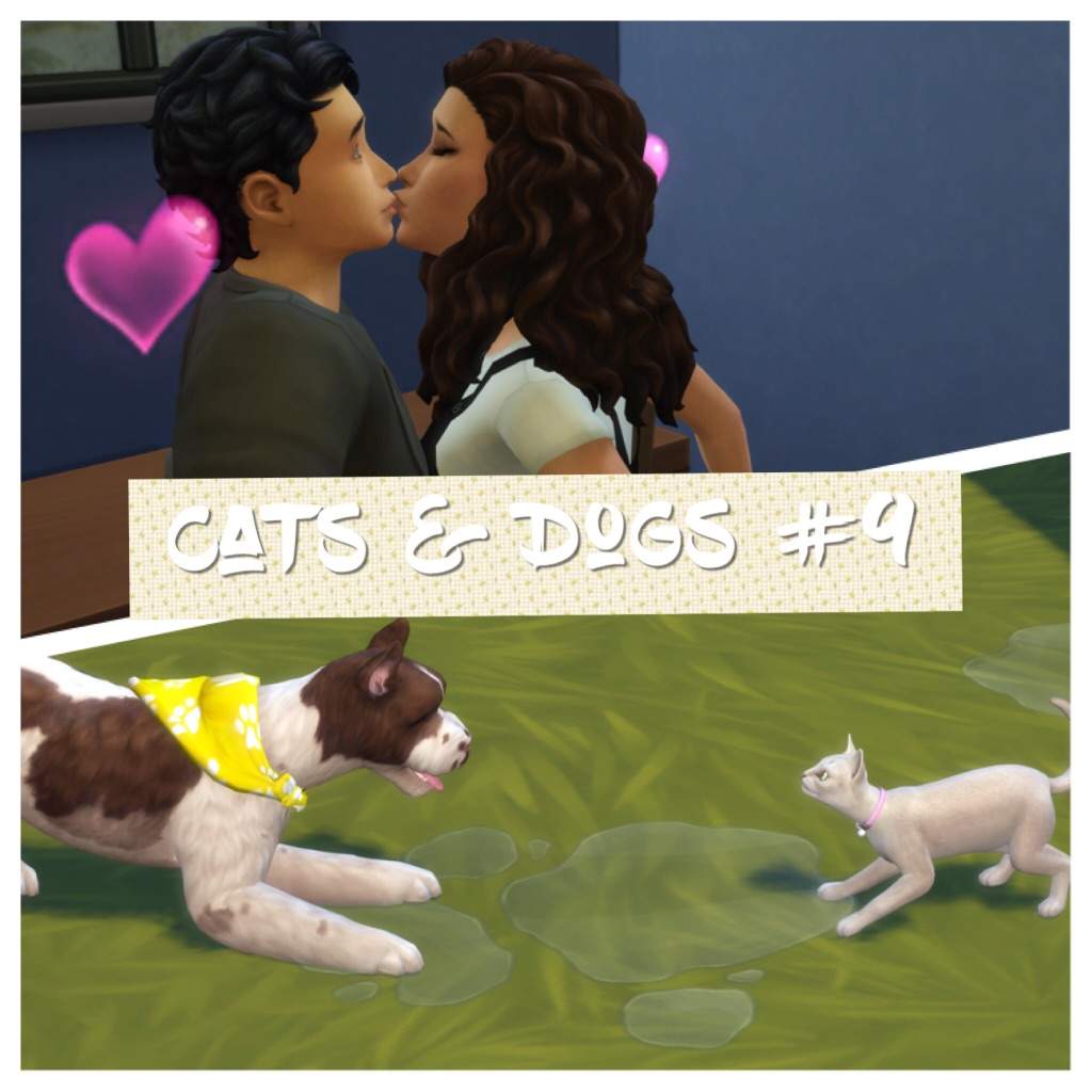 sims 4 cats and dogs recolor