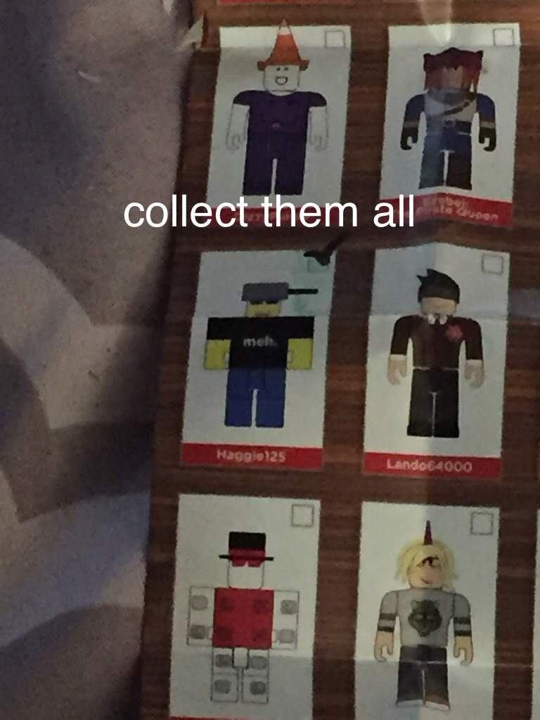 Yay I Got It Im Wana Get Ghe One Woth The Hat The Cone Hat Roblox Amino - roblox cone hat