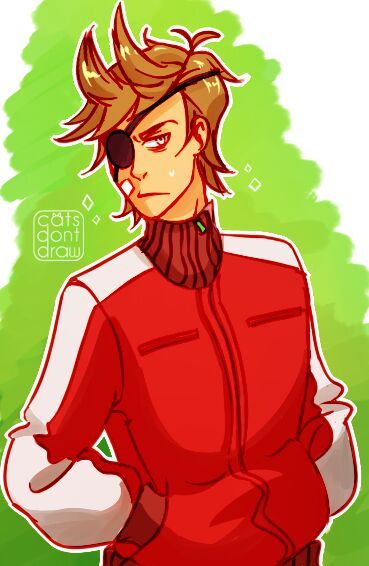 Sexy Red Leader Tord Eddsworld Amino