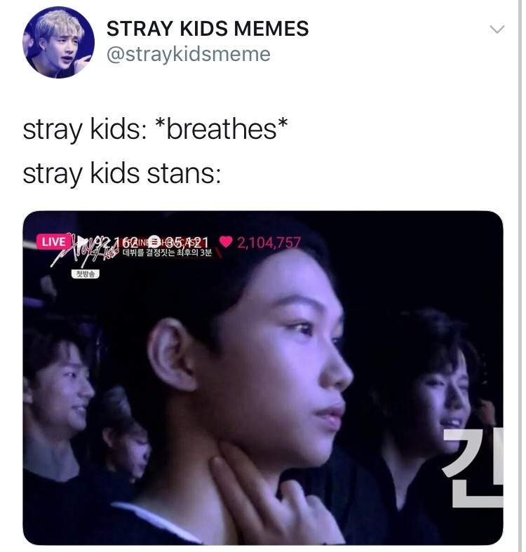 STRAY KIDS MEMES • | Stray Kids Amino