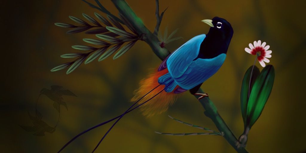 Blue bird of Paradise | Animal Amino🐾 Amino