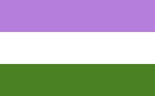 Flags Of Different Sexualties L G B T Q Amino 1764