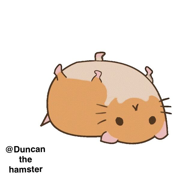 pusheen cheek hamster