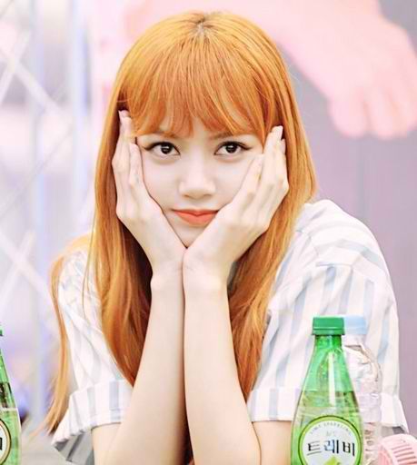 Lisa | Wiki | BLINK (블링크) Amino