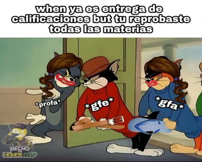 Momos Del Gato Tom U Memes Amino Español Amino