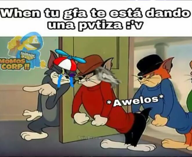 Momos Del Gato Tom U Memes Amino Español Amino