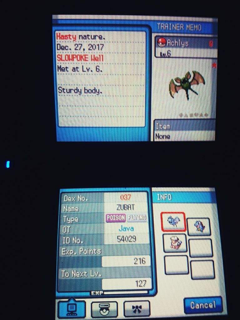 Shiny Zubat Heartgold Sbq 3 Shiny Pokemon Amino Amino