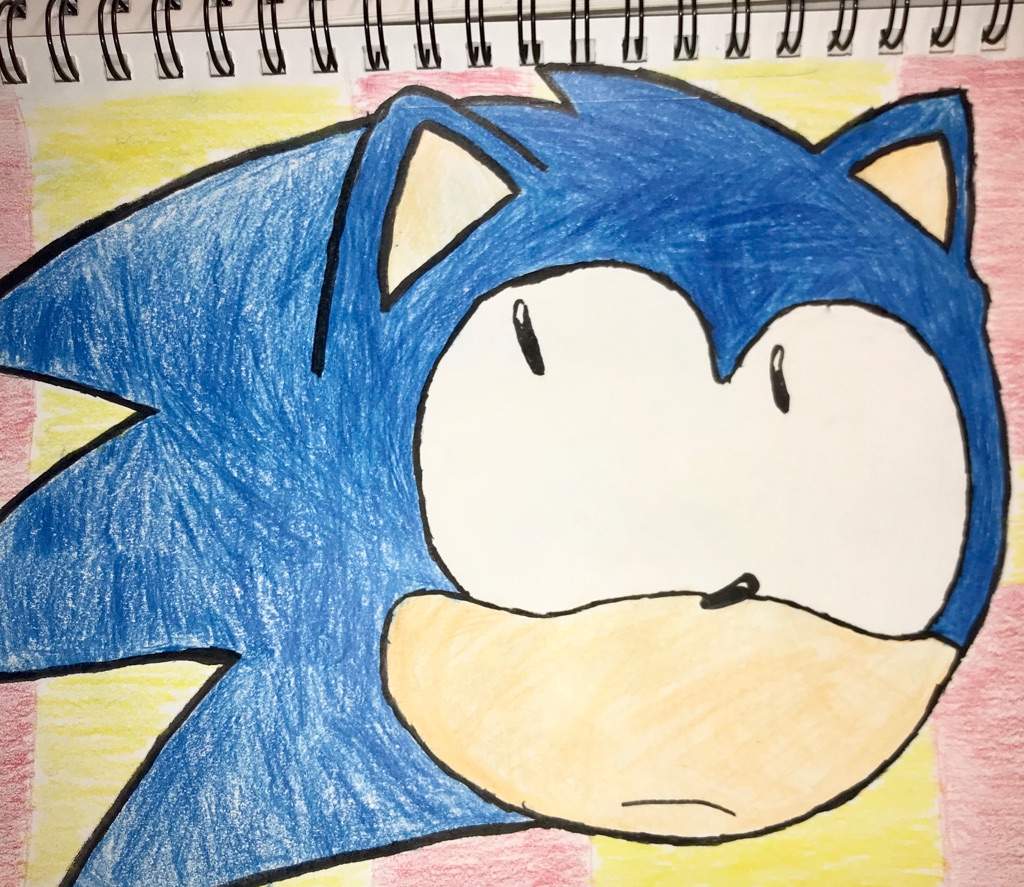 Art Collab With HatHog | Sonic the Hedgehog! Amino