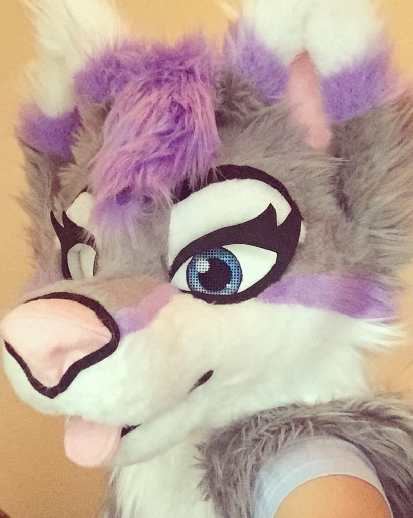 💜Aurora Bloom💜 | Furry Amino