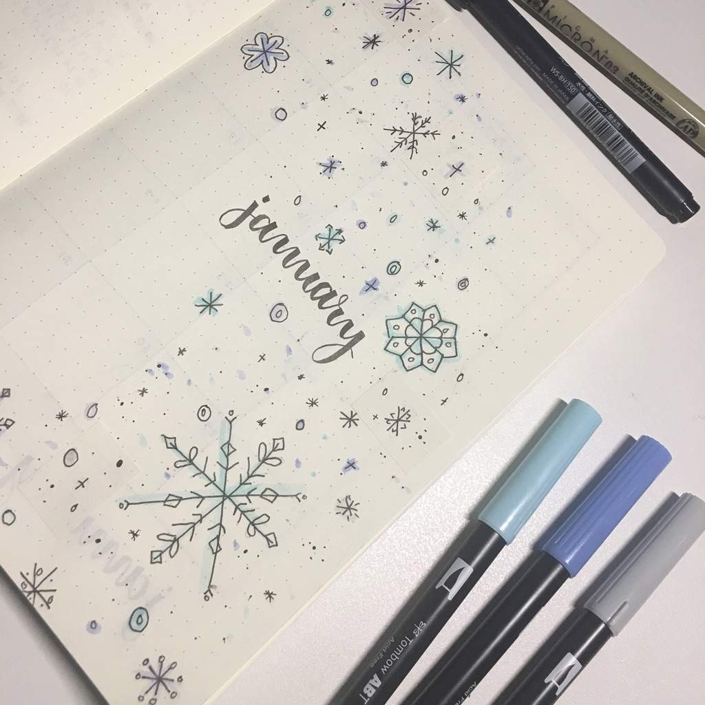 January Coverpage | Studying Amino Amino