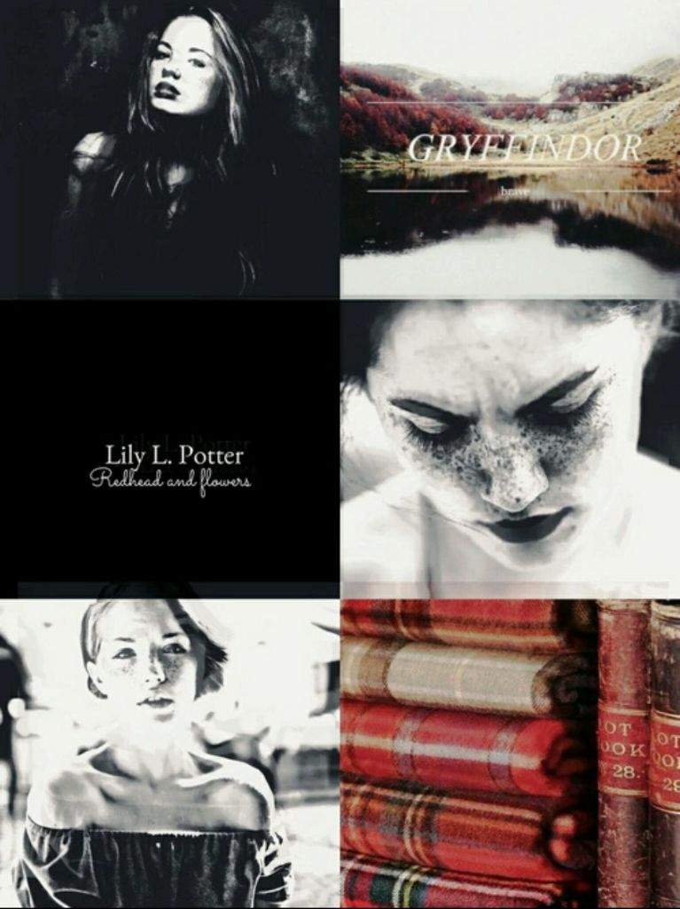 Lily L. Potter | Wiki | ANIMALES FANTÁSTICOS FANS Amino