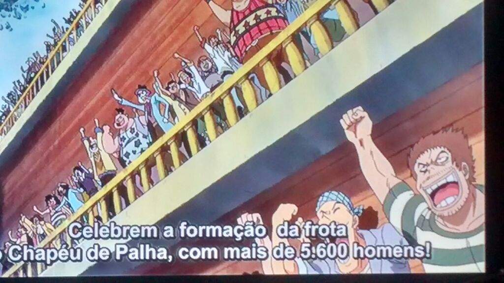 Frota Do Chapéu De Palha One Piece Brasil™ Amino 