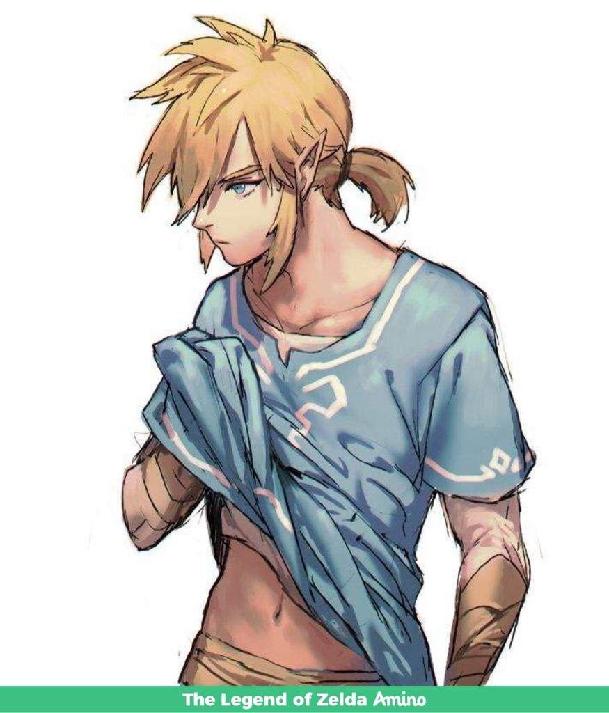 Sexy Link Botw The Legend Of Zelda Amino 