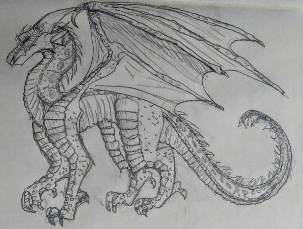 Realism | Wings Of Fire Amino