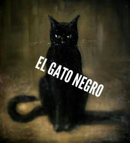 impuesto Mansión el estudio El Gato Negro/Recomendacion | Terror Amino