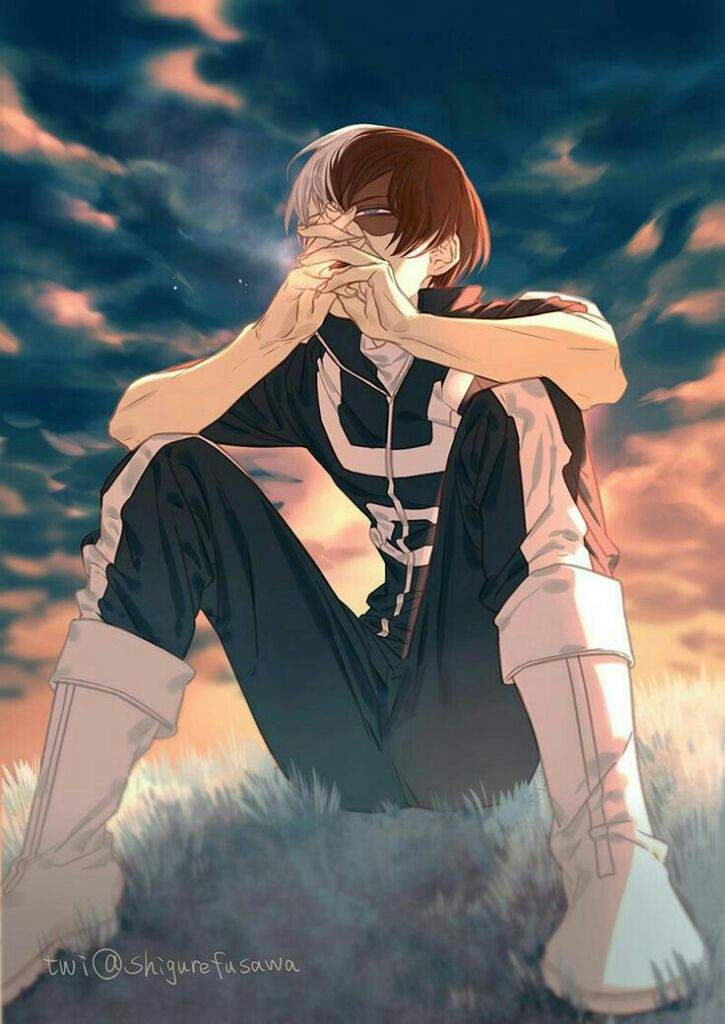 Todoroki Shouto Wiki U S A Ua Amino