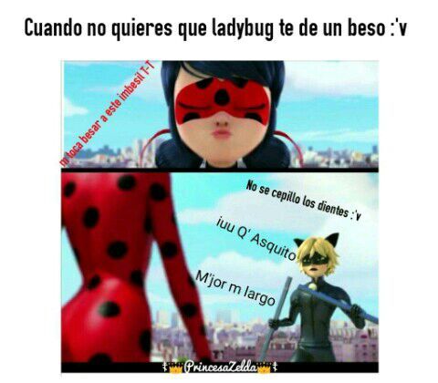 Memes De Chat Noir Miraculous Ladybug Espanol Amino