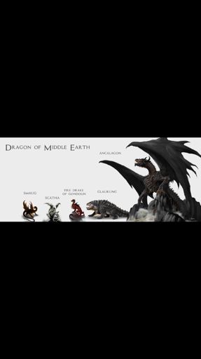 Dragons of Middle-earth | LOTR Amino