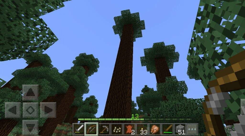 These are the tallest trees in Minecraft Minecraft Amino