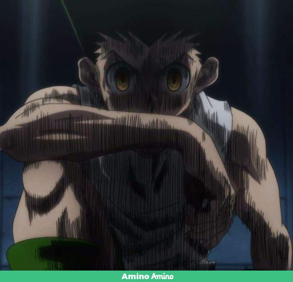 La venganza de un corazón noble [analisis gon vs pitou] | Shonen Amino