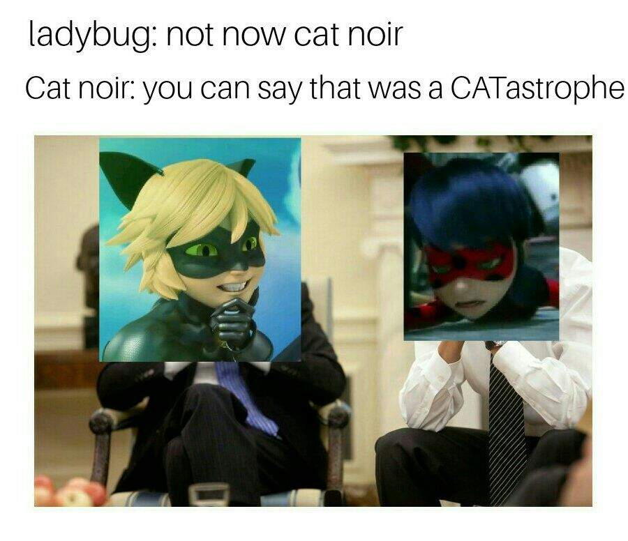 Cat Noir Memes Miraculous Amino