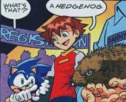 Cursed image | Sonic the Hedgehog! Amino