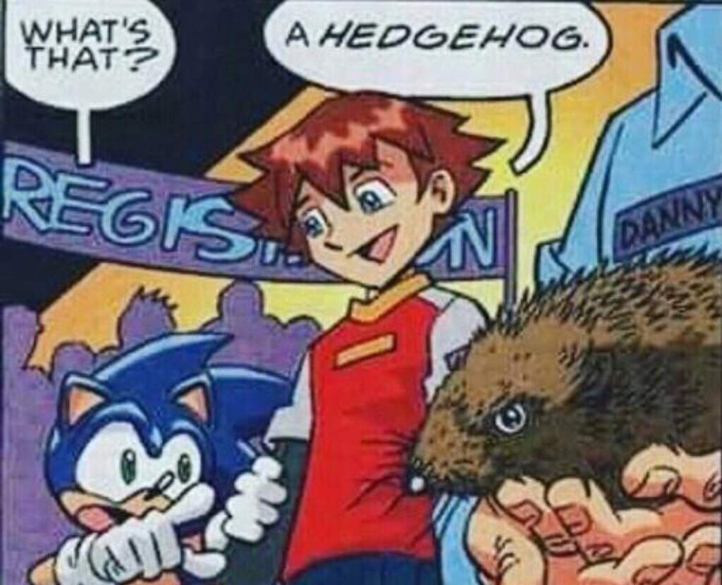 Cursed Sonic Memes