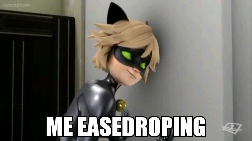 Cat Noir Memes Miraculous Amino