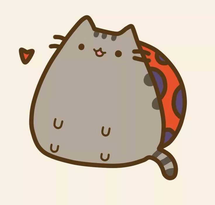 Pusheen The Cat | Wiki | Online Friendship Amino