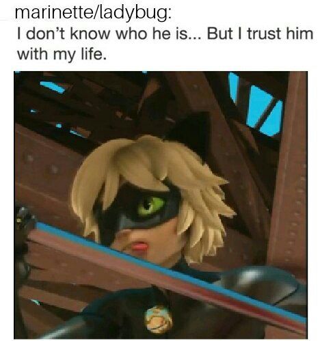 Cat Noir Memes Miraculous Amino