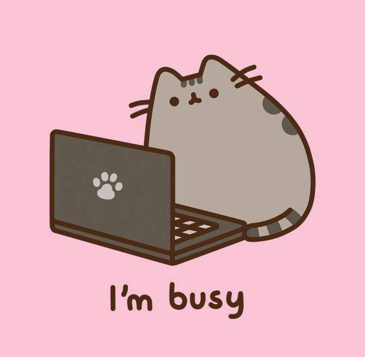 Pusheen The Cat 