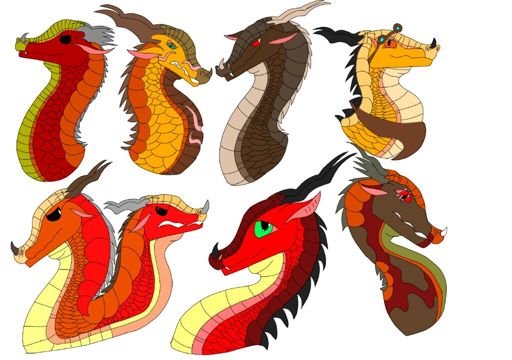 Some of my skywing ocs | Wings Of Fire Amino