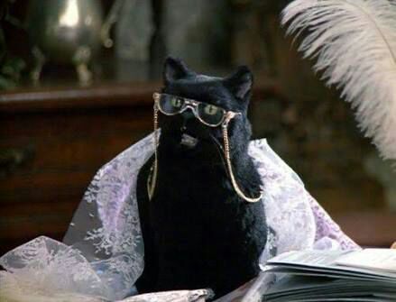 Salem Saberhagen | Wiki | Sabrina, The Teenage Witch Amino