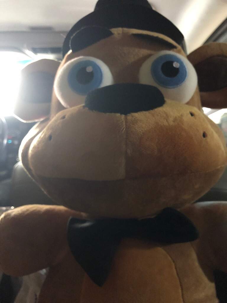 giant five nights at freddy's plushies