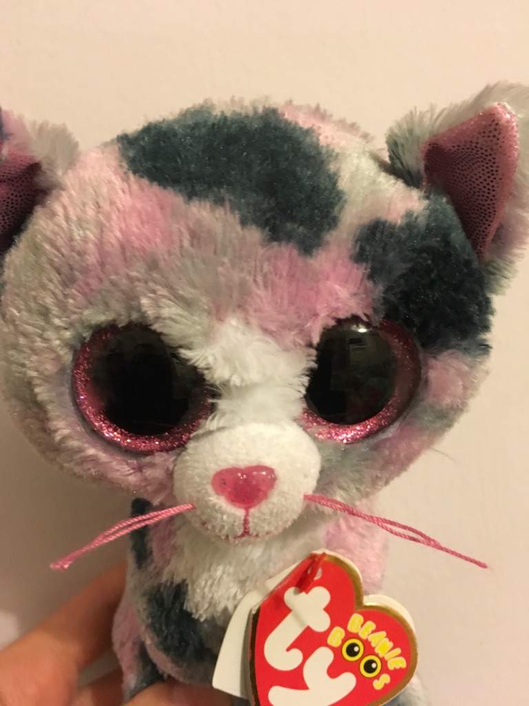 lindi beanie boo