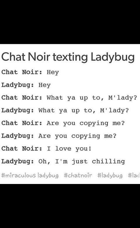 When The Cat Texted The Ladybug Miraculous Amino