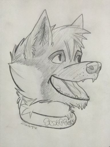 *Sniffer | Furry Amino