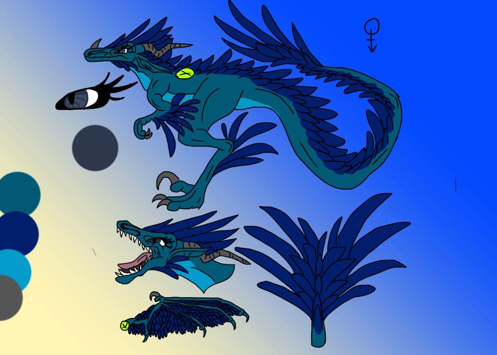 New Lapis Ref Sheet Wings Of Fire Amino