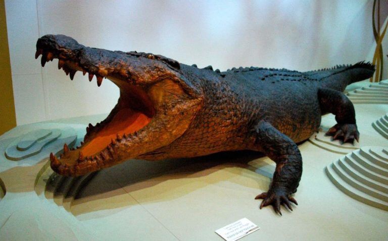 Croczilla 🐊 (2012) | Monster Facts Amino