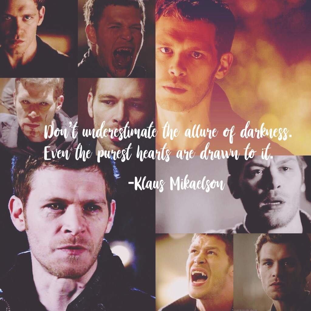 Klaus Quote : Klaus Quotes Top 100 Famous Quotes About Klaus - The