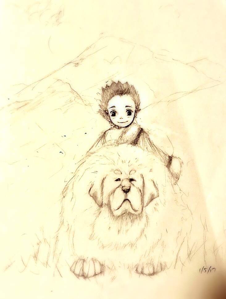 Toji the Golden Tibetan Mastiff | ANIME FOR YOU~ Amino