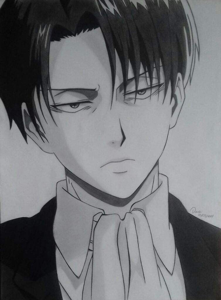 Levi Ackerman Wiki ♥ Pasión Por El Anime ♥ Amino