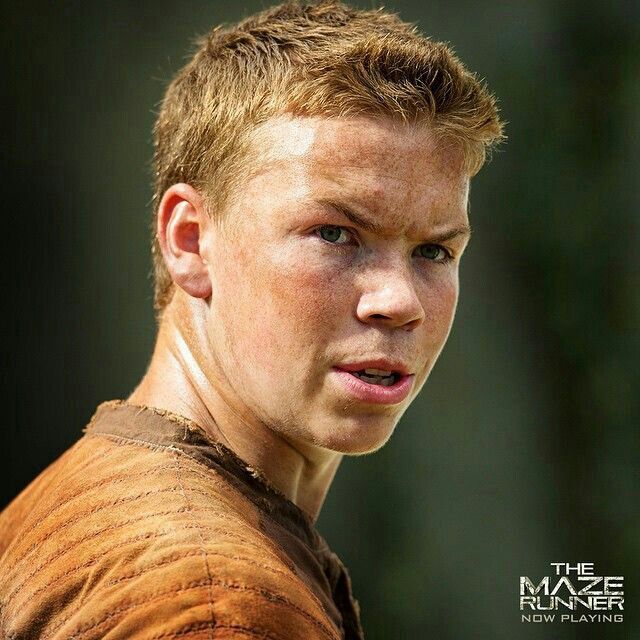 gally-wiki-maze-runner-amino